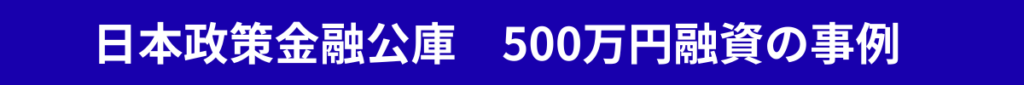 日本政策金融公庫　500万円融資の事例